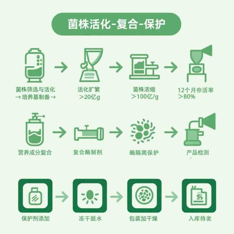 分步式工艺流程图，按 “菌株筛选与活化→培养基制备→活化扩繁→菌株浓缩→营养成分复合→保护剂添加→封20251128234