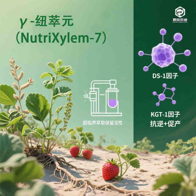 天然植物源活性成分插图，左侧为耐逆植物（盐角草、田菁，绿色写实绘制），标注 “活性成分提取源”；中间20251128216