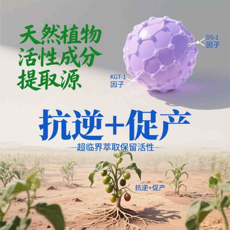 左侧为耐逆植物（盐角草、田菁，绿色写实绘制），标注 “天然植物活性成分提取源”；中间为超临界萃取示意20251128422