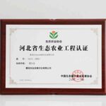 “河北省生态农业工程认证”证书，生态农业协会标志，获得者“晨信农业发展河北有限公司”颁发者“中国生态20251119593