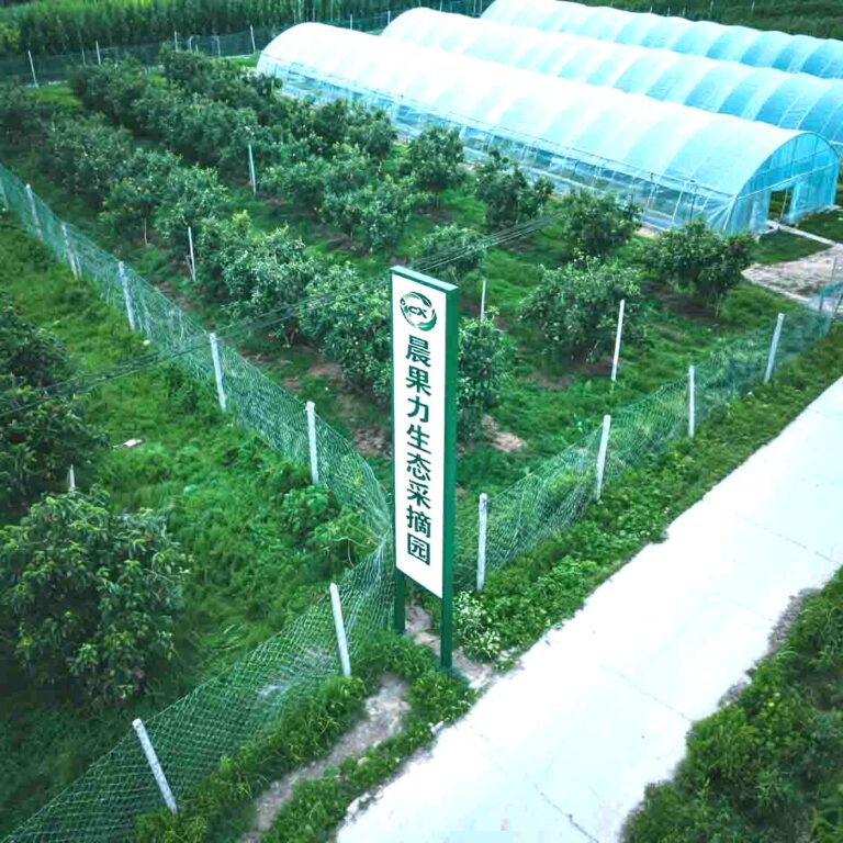 晨果力生态采摘园